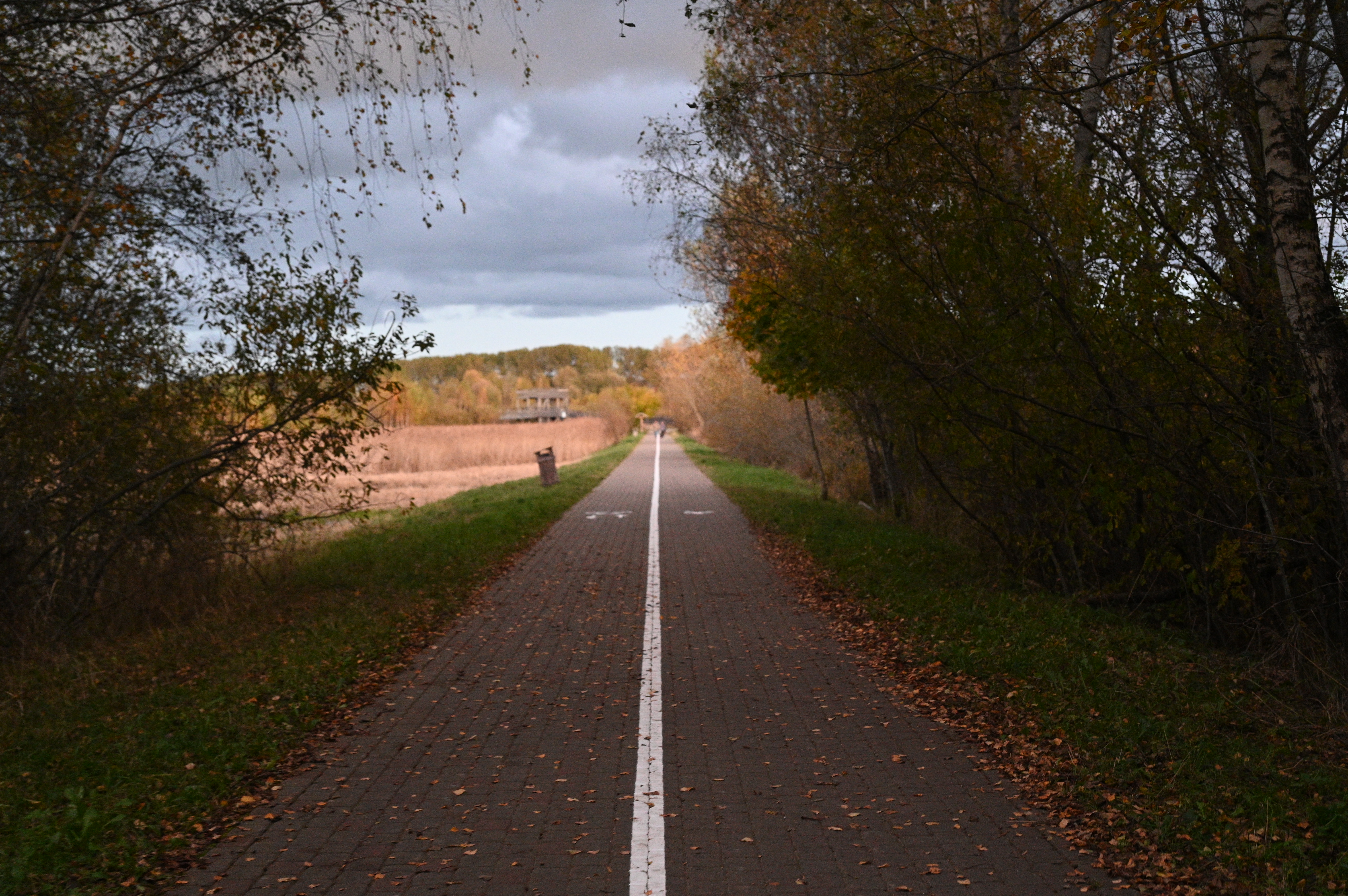 2025/10/18 - walk/DSC_0597.JPG